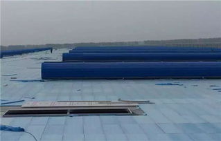 邢臺(tái)無動(dòng)力風(fēng)機(jī)廠家 哈爾濱無動(dòng)力風(fēng)機(jī)廠家